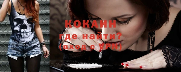 мдпв Ельня