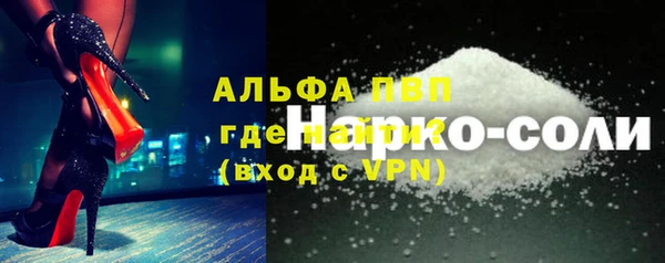 стафф Дмитров