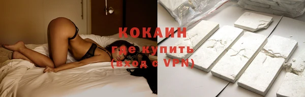 гашик Дмитровск