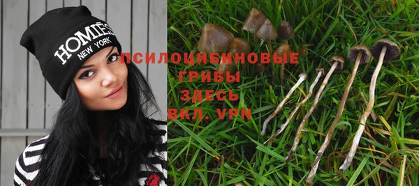 стафф Дмитров