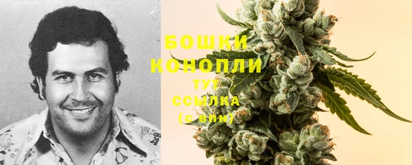 гашик Дмитровск