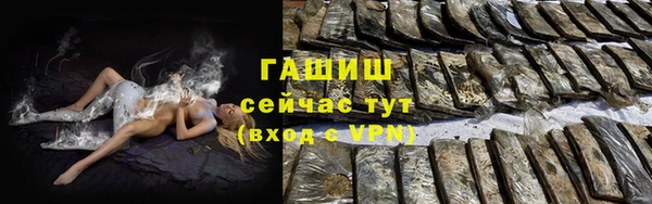 гашик Дмитровск