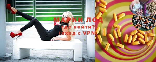 мдпв Ельня
