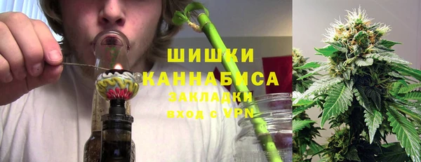 СК Елизово